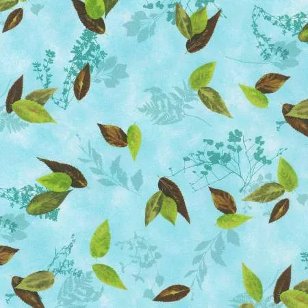 Leaves Sky