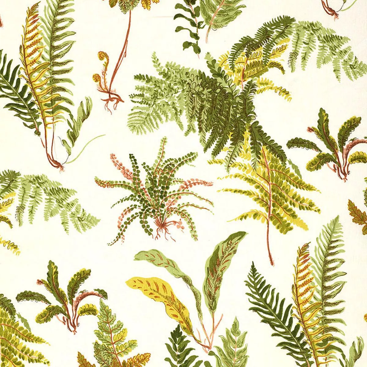 les-fougeres-spring-fabric Les Fougeres Spring Fabric