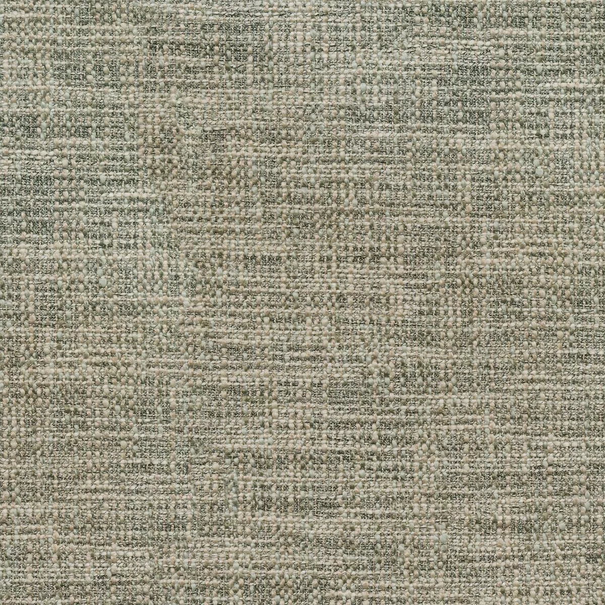 Liam 408762 Safari PKL Studio Fabric