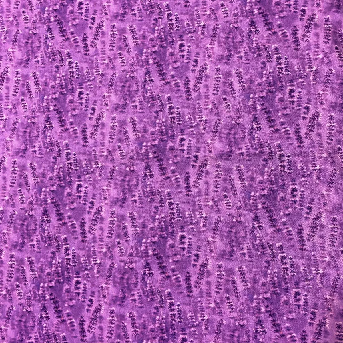Lilac Lavender – Lavender Fields – Northcott Studio Fabrics