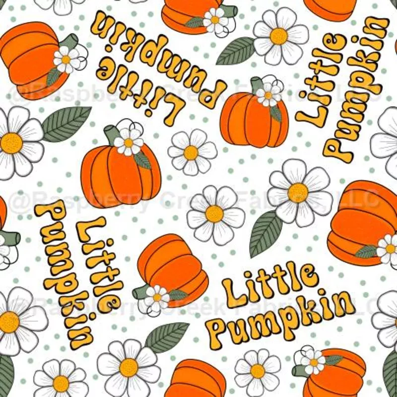 Little Pumpkin Fall Daisy Floral