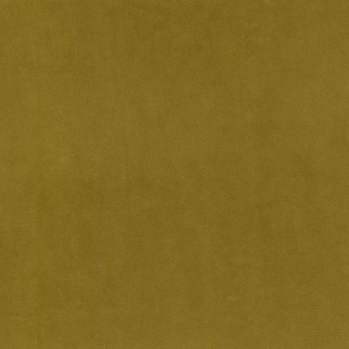 Marquee FR Velvet -Gold Rush RM Coco Fabric