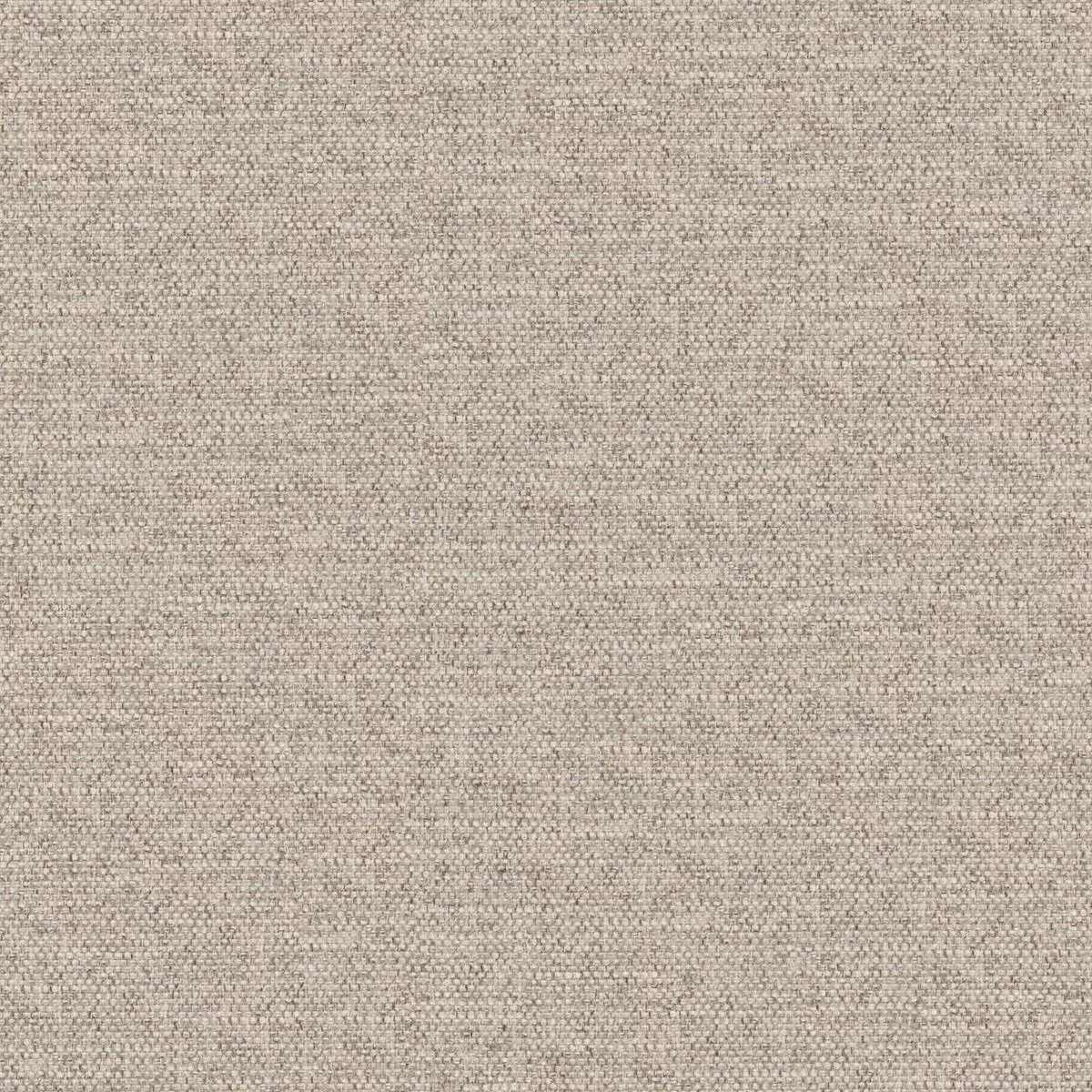 Maxwell – CASTOR – SPONGE – Fabric by the Yard – 925 SPONGE