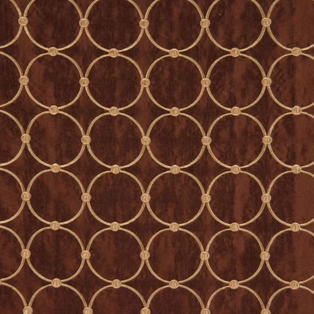 MEMENTO PUMPKIN LATTE RM Coco Fabric