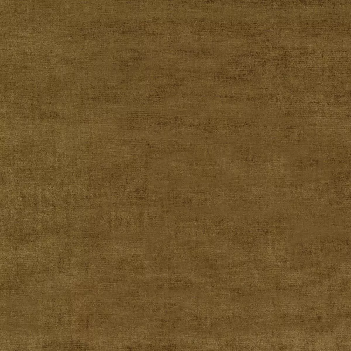Meridian Velvet Bronze Fabric