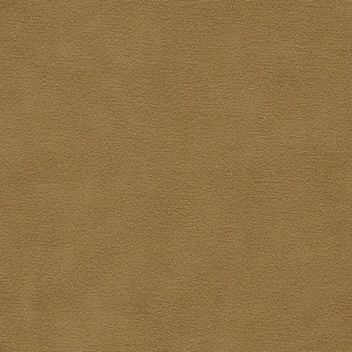 miami-gold-fabric Miami Gold Fabric
