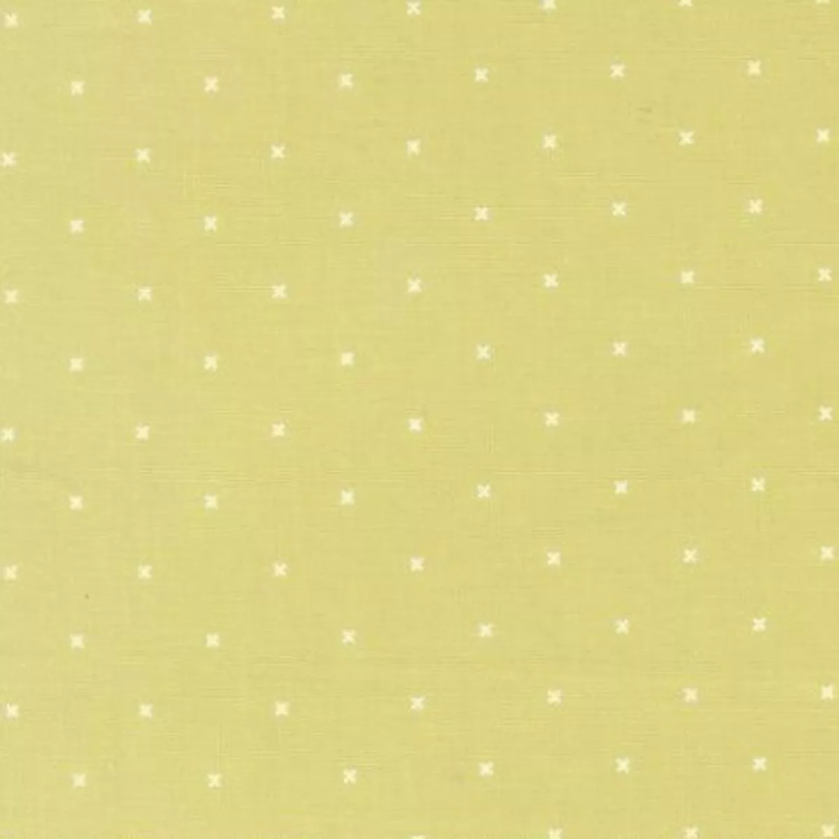 Moda – In The Garden – Corey Yoder – Light Lime 29238 21