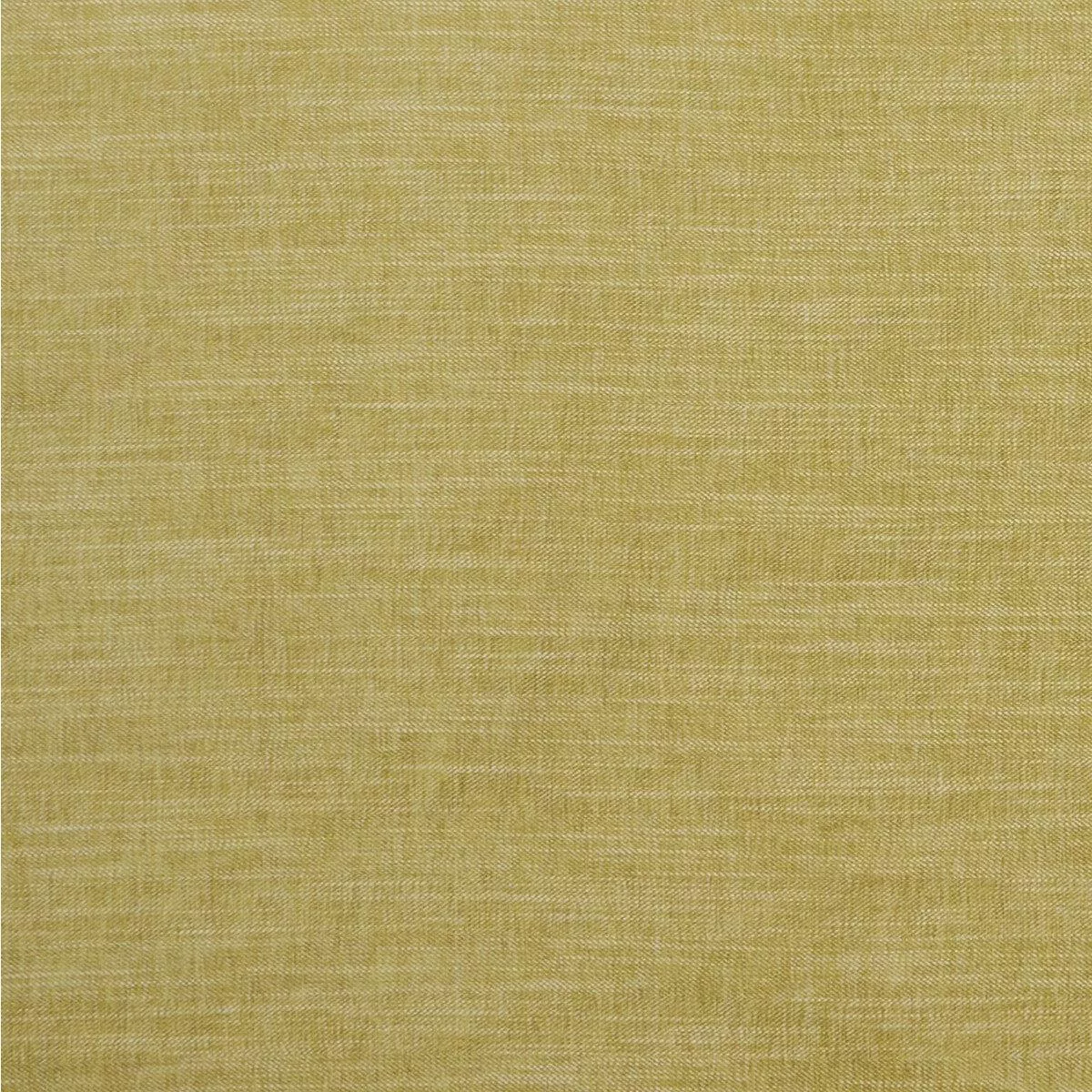 moray-citron-fabric Moray Citron Fabric