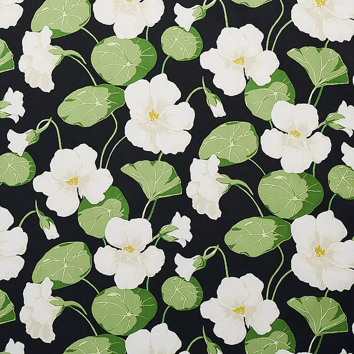 nasturtium-noir-fabric Nasturtium Noir Fabric