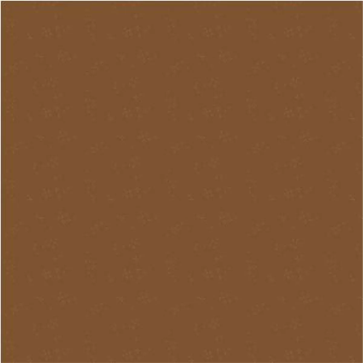 Nature Study 20 Chestnut Astra 54686-9