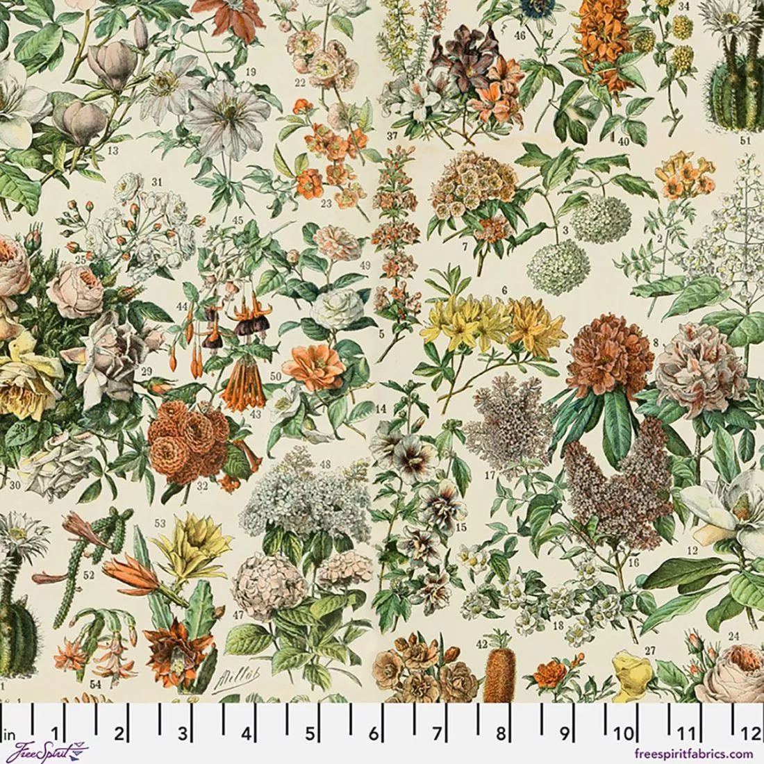 orange-botanical-canvas-by-tim-holtz Orange Botanical CANVAS by Tim Holtz