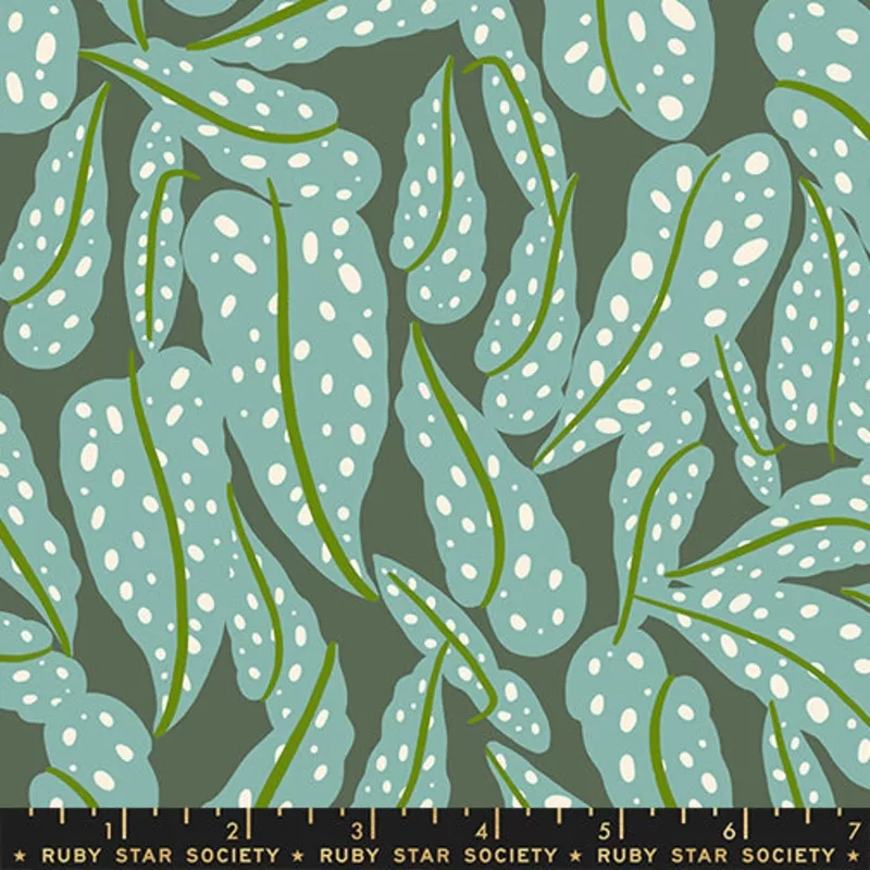 overlapping-leaves-in-seaweed-calathea Overlapping Leaves in Seaweed | Calathea