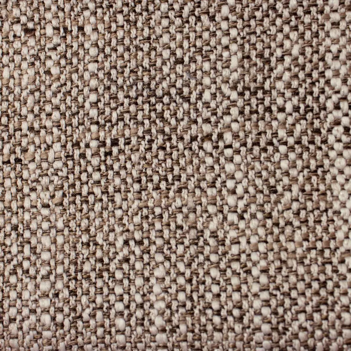 Oxford -Latte RM Coco Fabric