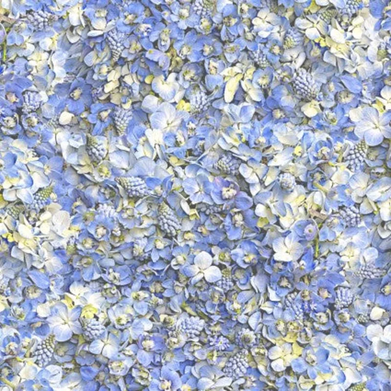 pale-skies-hand-picked-forget-me-not Pale Skies – Hand Picked – Forget Me Not