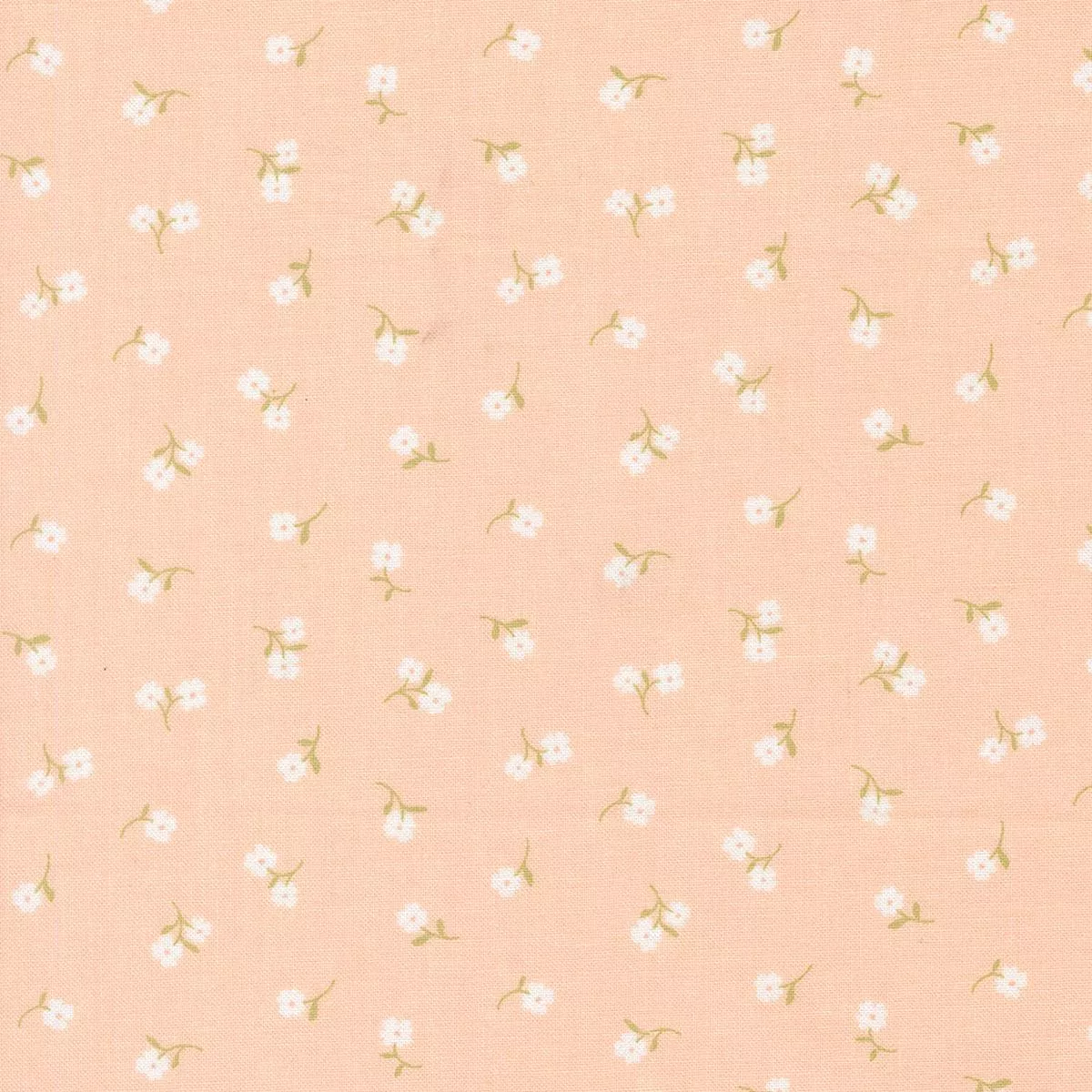 pastel-prairie-tiny-floral-petal Pastel Prairie Tiny Floral Petal