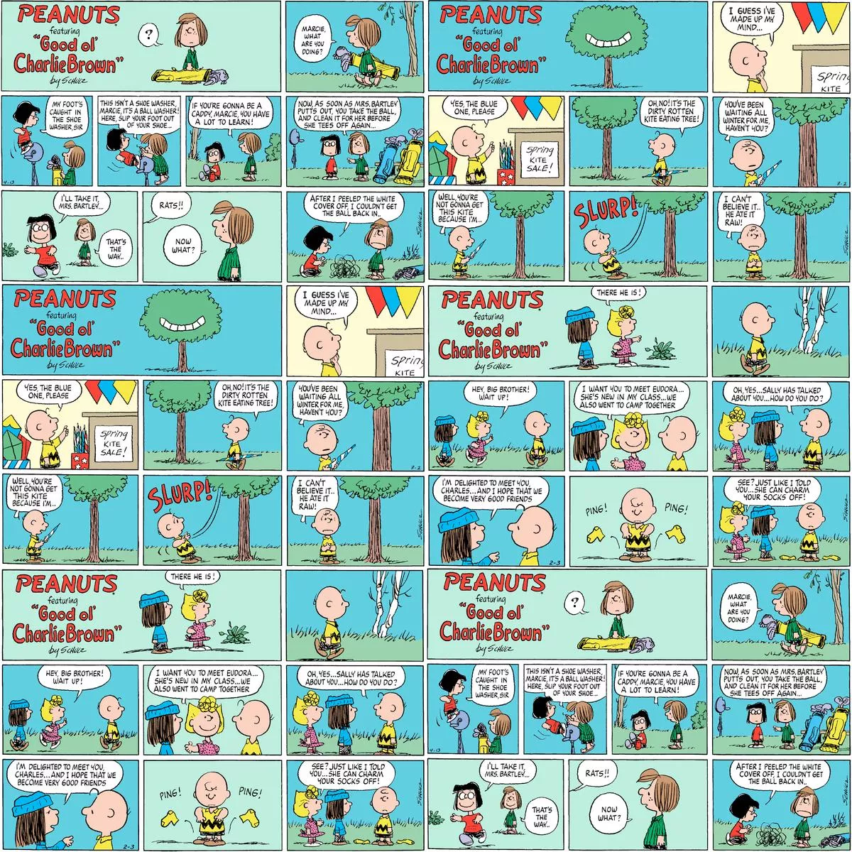 Peanuts Charlie Brown Comic Strip Fabric