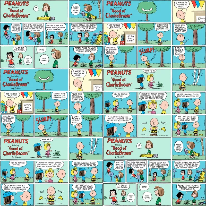 peanuts-charlie-brown-comic-stripfabric Peanuts Charlie Brown Comic StripFabric