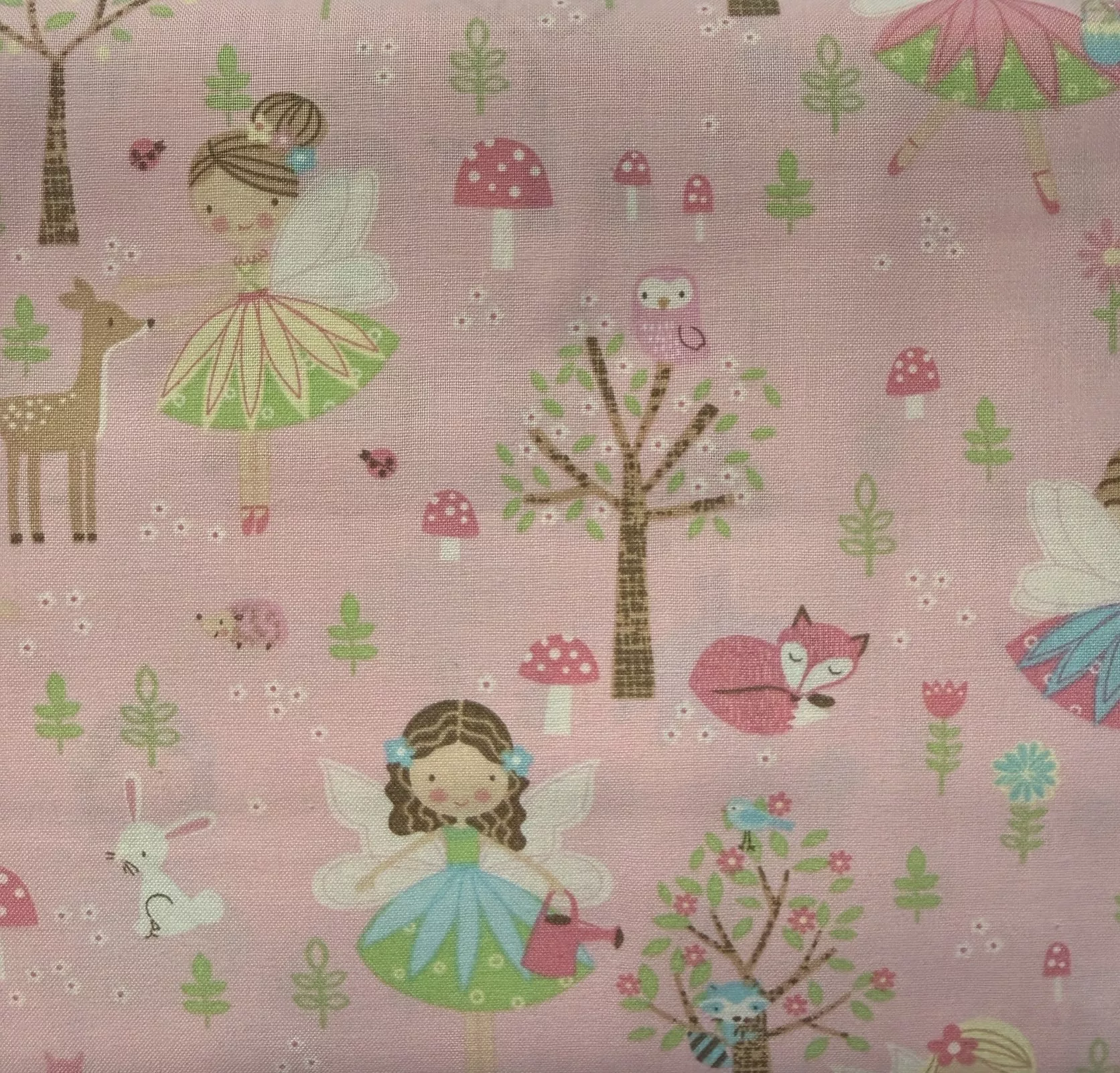 Pink Fairies 16422 A Pink