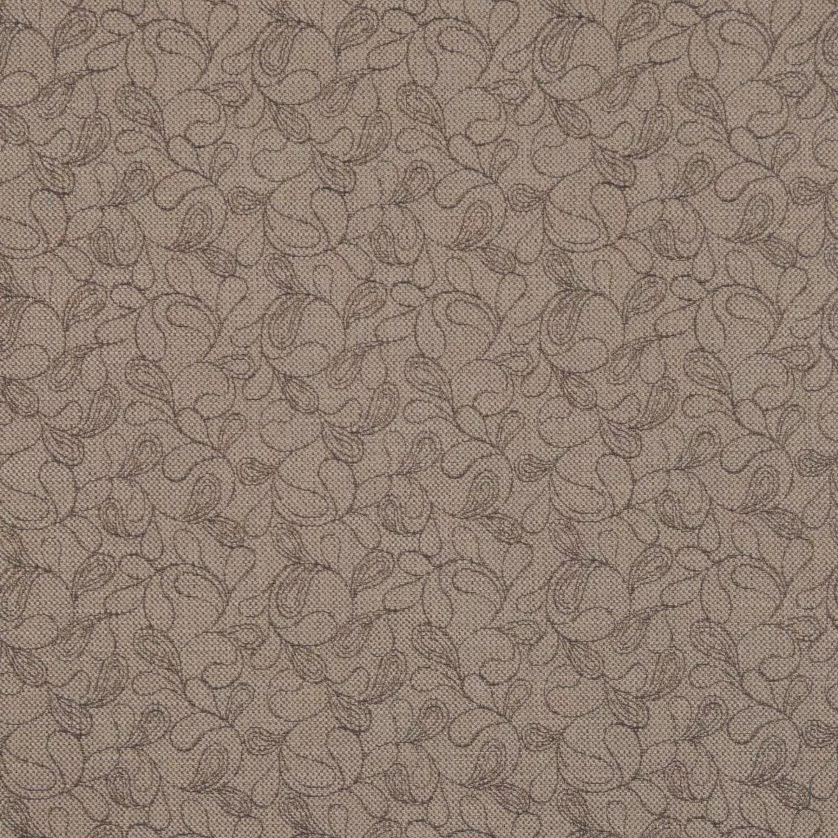 POLAR ACORN RM Coco Fabric