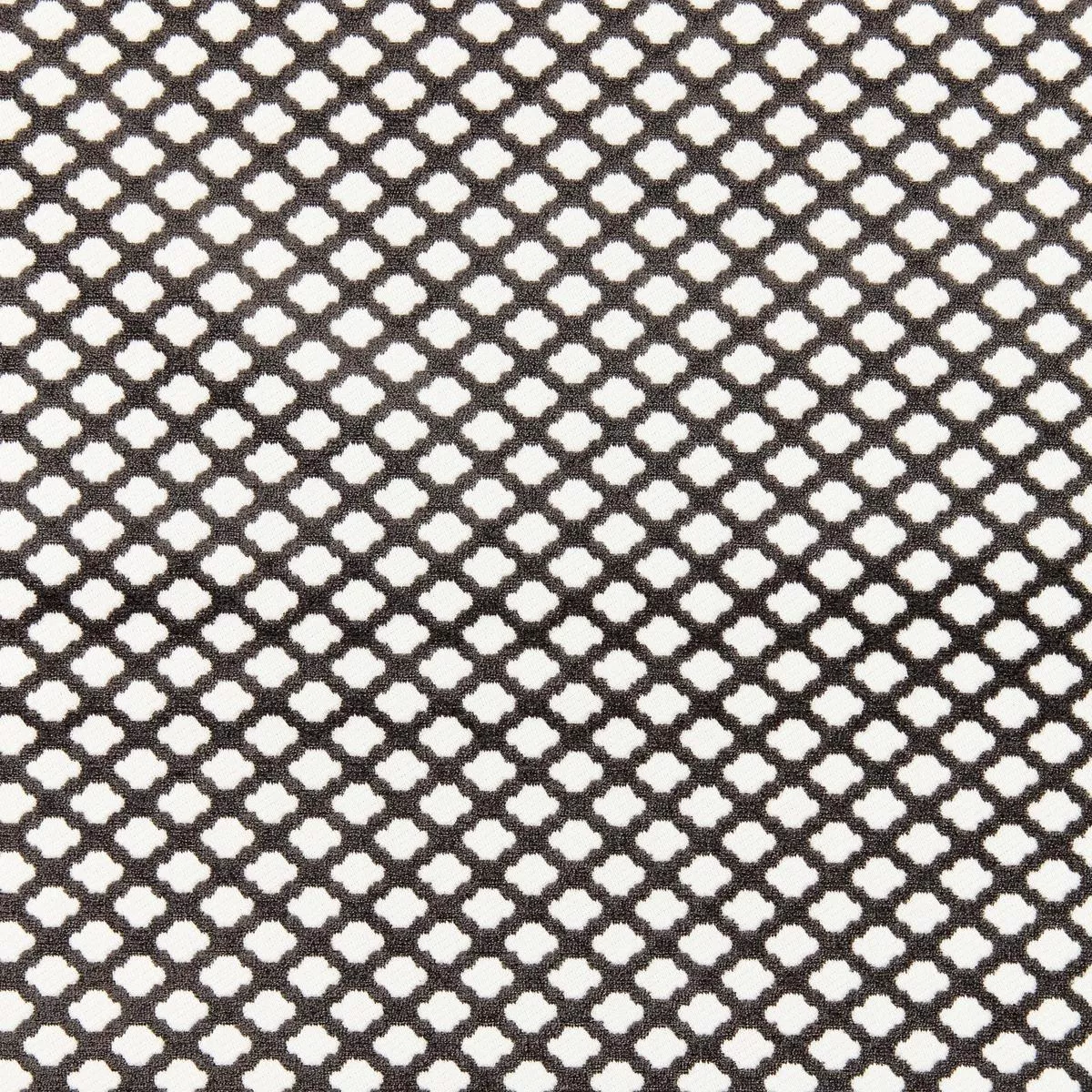 Pomfret Carbon Fabric