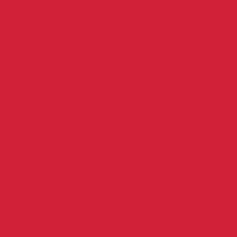 Pongee Polyester Lining Fabric – Red