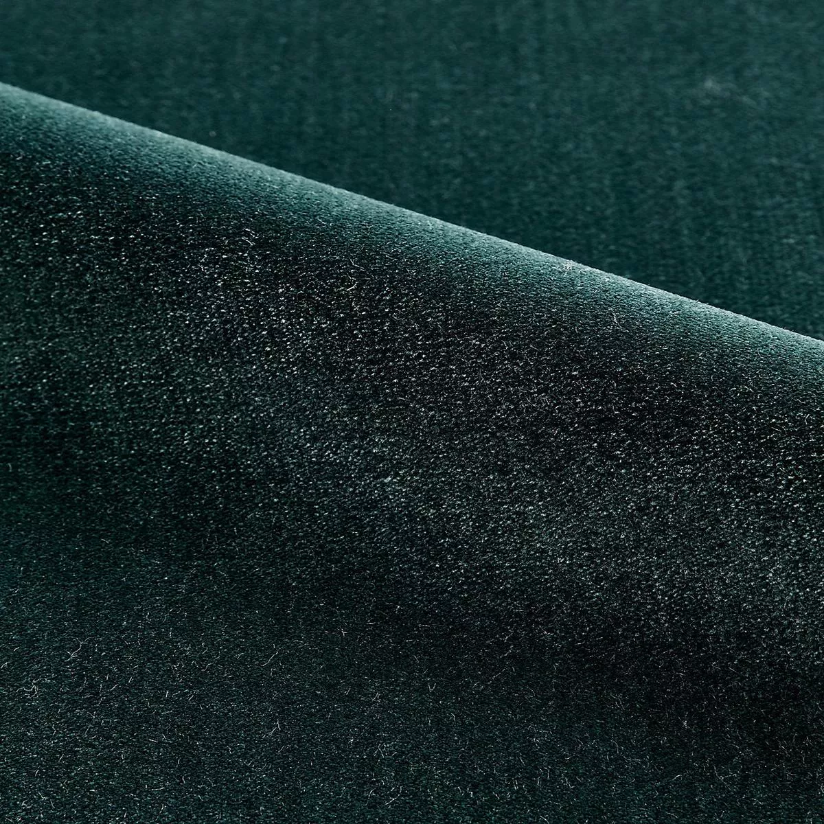 porter-forest-by-scalamandre-fabric Porter – Forest by Scalamandre Fabric