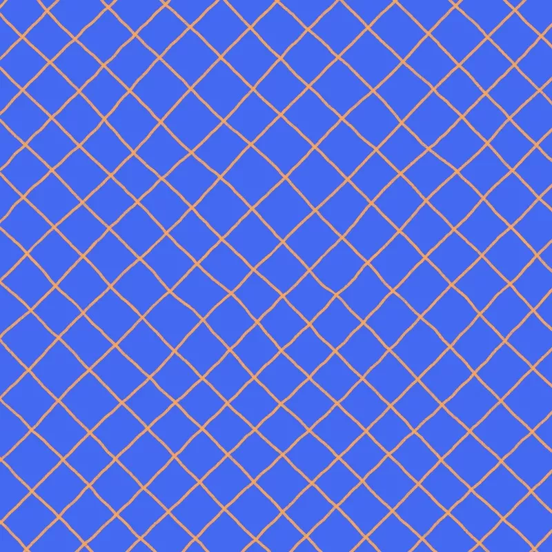 Preorder: Checkered Lines (Orange on Blue)