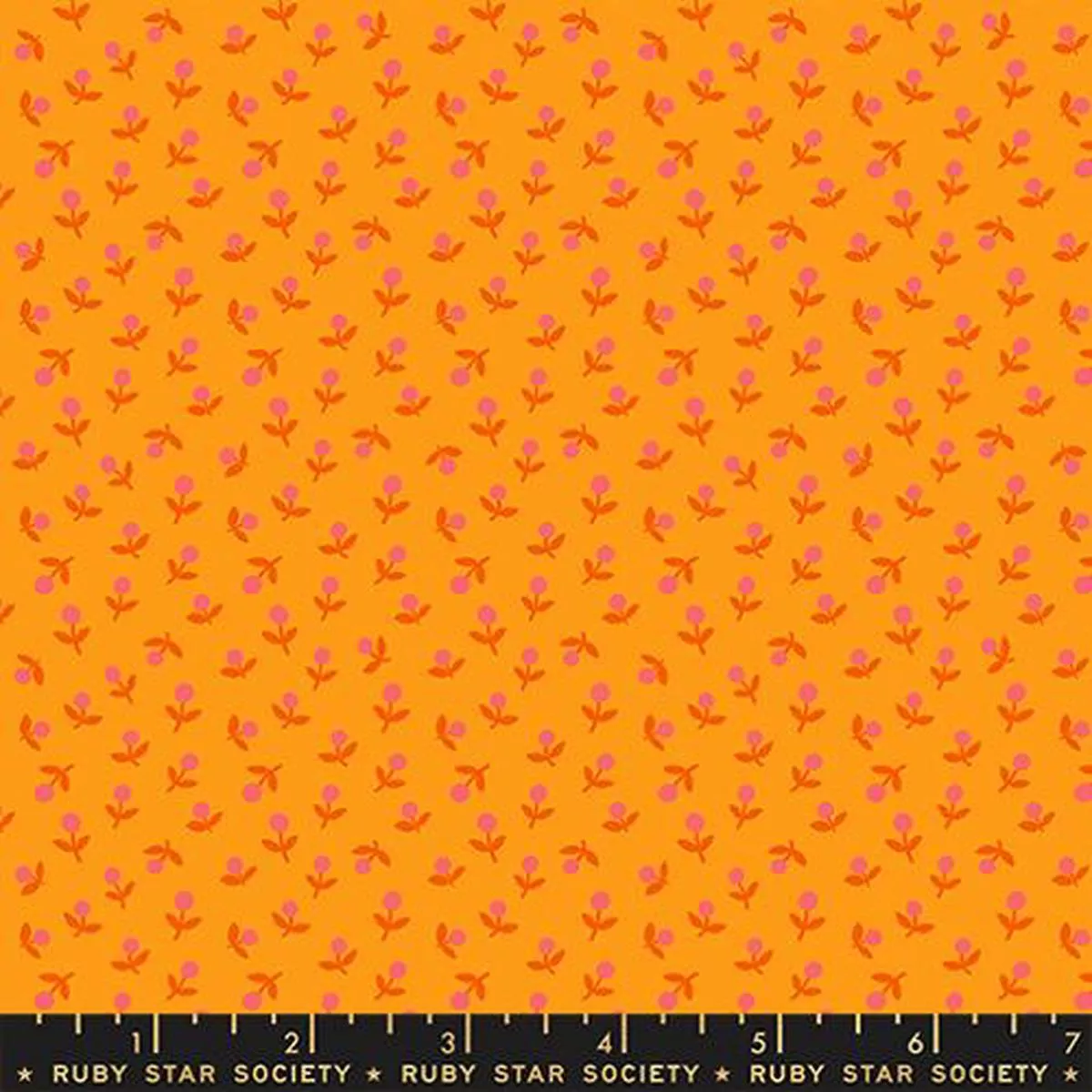 preorder-cheddar-sprout-1-800-calico-by-alexia-abegg-ruby-star-society *Preorder* CHEDDAR Sprout, 1 800 Calico by Alexia Abegg for Ruby Star Society