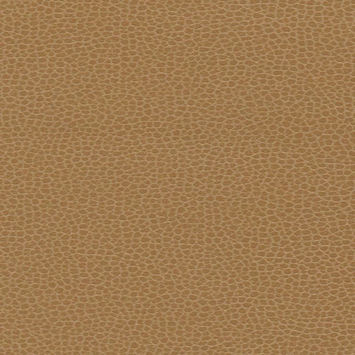 promessa-camel-fabric Promessa Camel Fabric