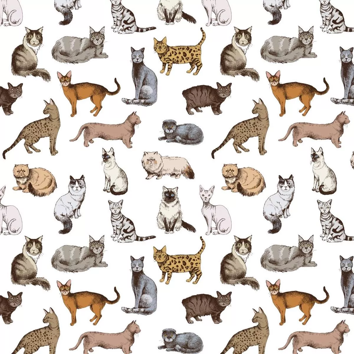 purebred-cat-fabric-multi Purebred Cat Fabric – Multi