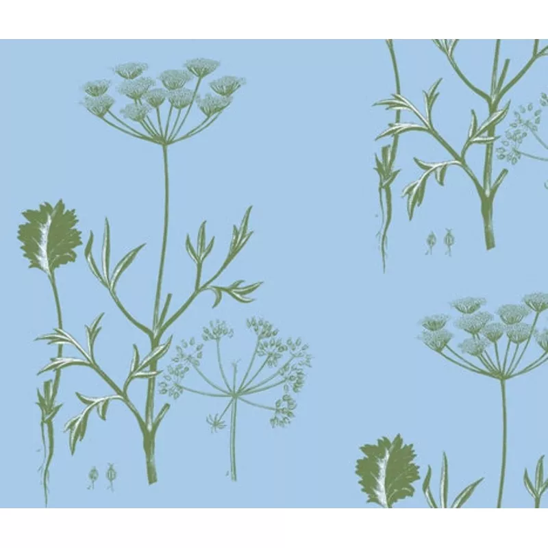 queens-lace-cornflower-fern-wallcovering Queens Lace Cornflower Fern Wallcovering