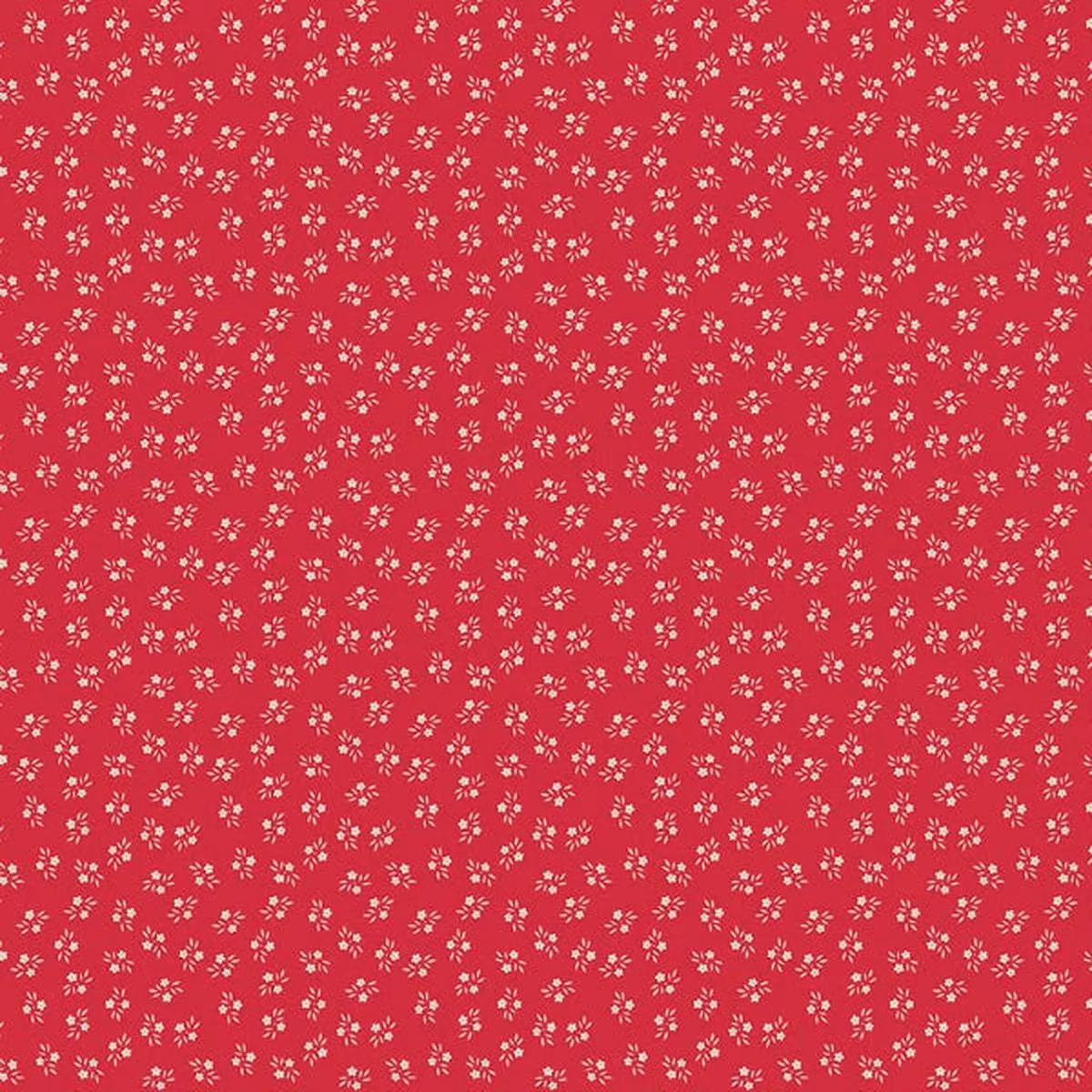Riley Blake – C17386 Jazzberry