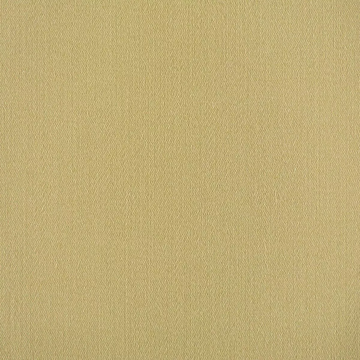 Rio – Gooseberry by Scalamandre Fabric