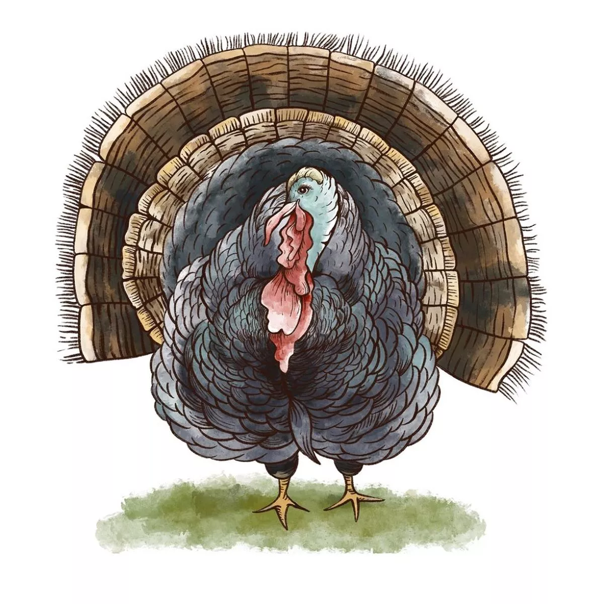 rustic-turkey-fabric-panel Rustic Turkey Fabric Panel