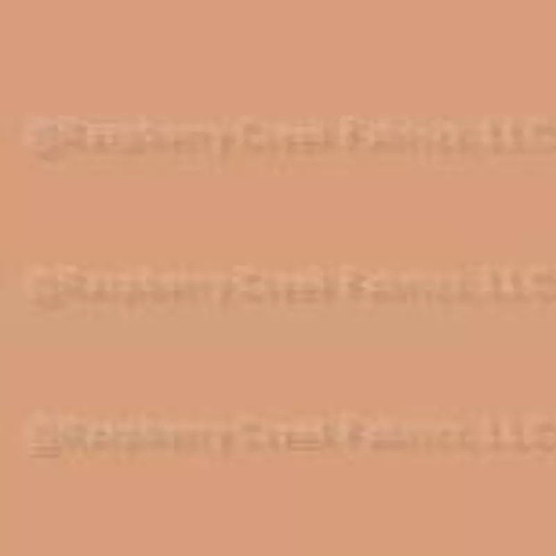 Sandy Tan Solid Color, Utah Collection by JaguarIslandsDesigns