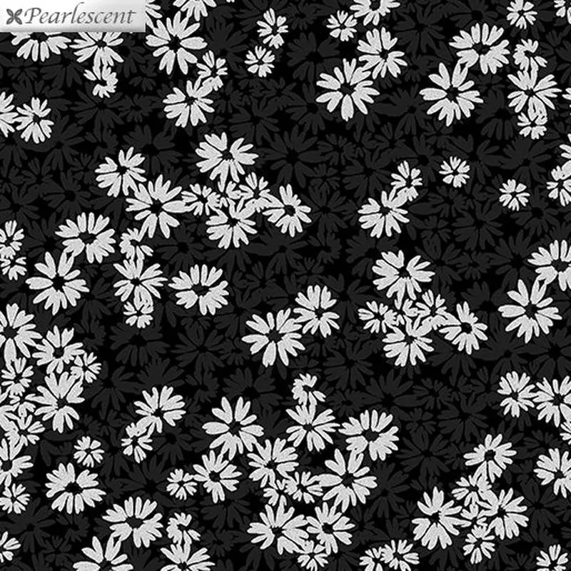 shimmer-shine-black-5 Shimmer & Shine Black – (5)