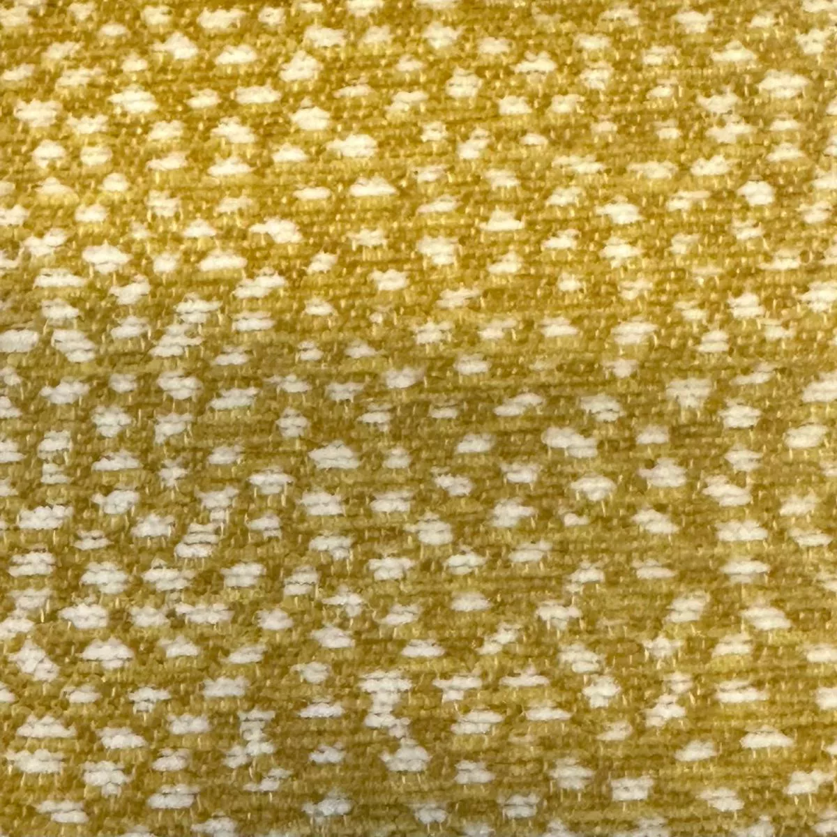 siamese-citrusacid-de-leo-fabric Siamese CitrusAcid De Leo Fabric