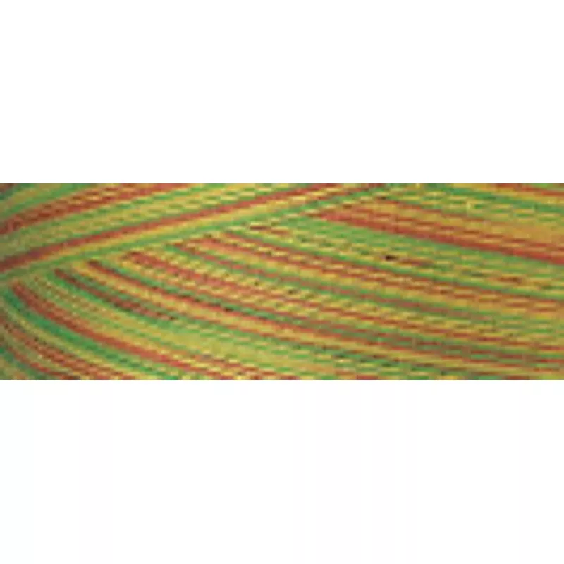 Signature Variegated Thread SM010