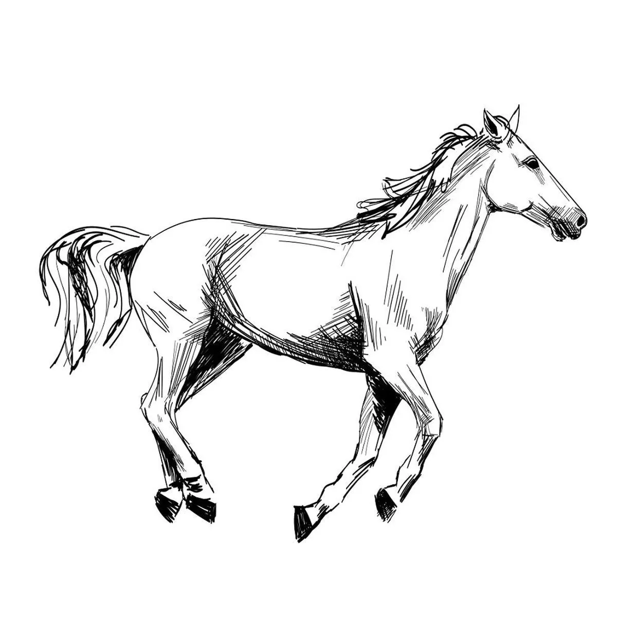 Sketched Horse Fabric Panel