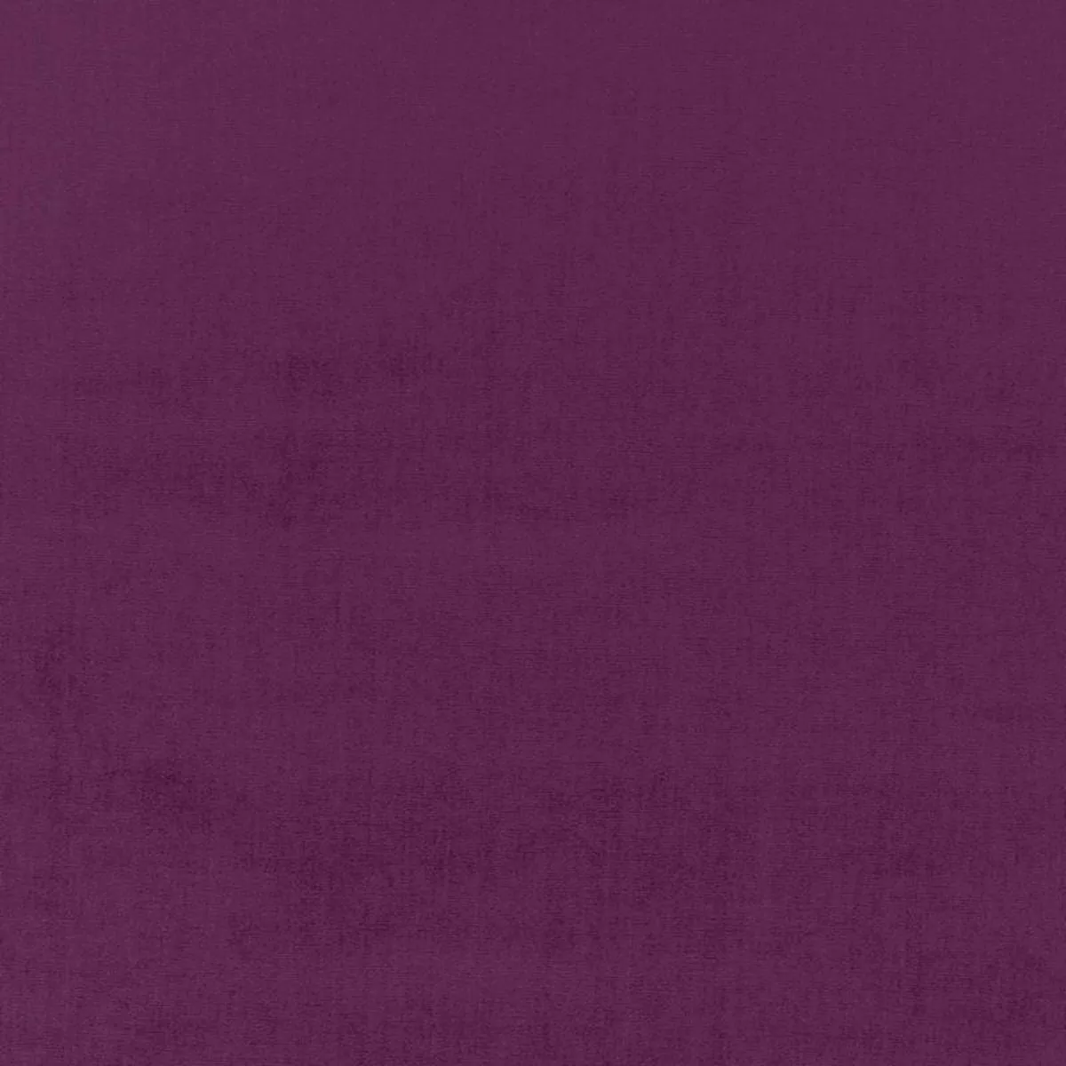 sophia-velvet-parma-fabric Sophia Velvet Parma Fabric