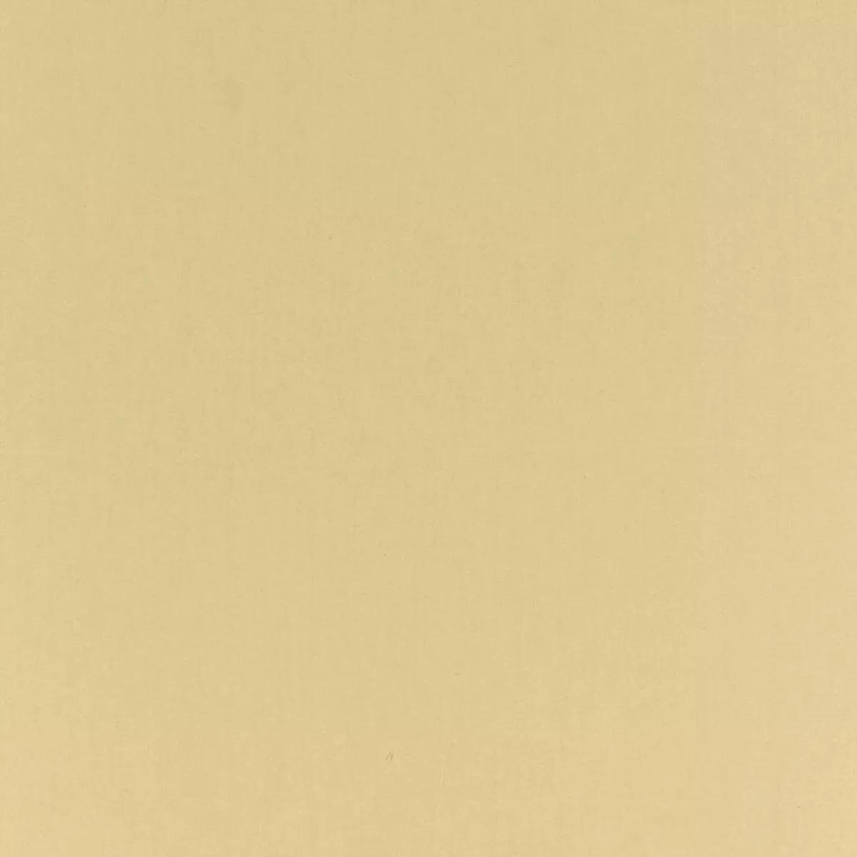 Spinnaker Canvas Covington Fabric