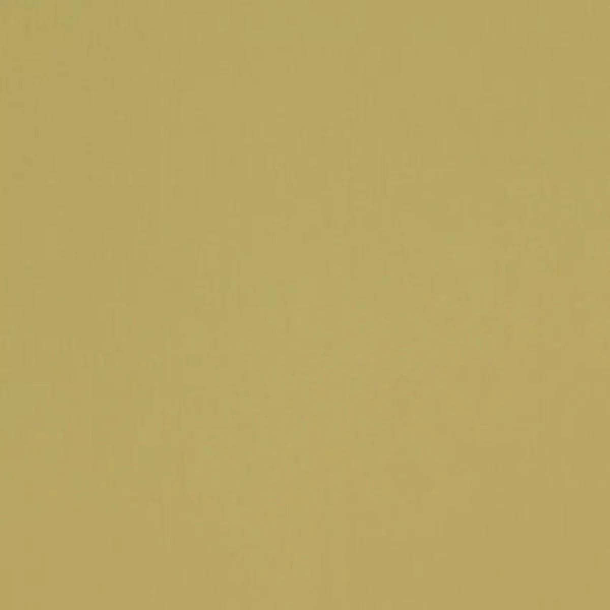 Spinnaker Raffia Covington Fabric