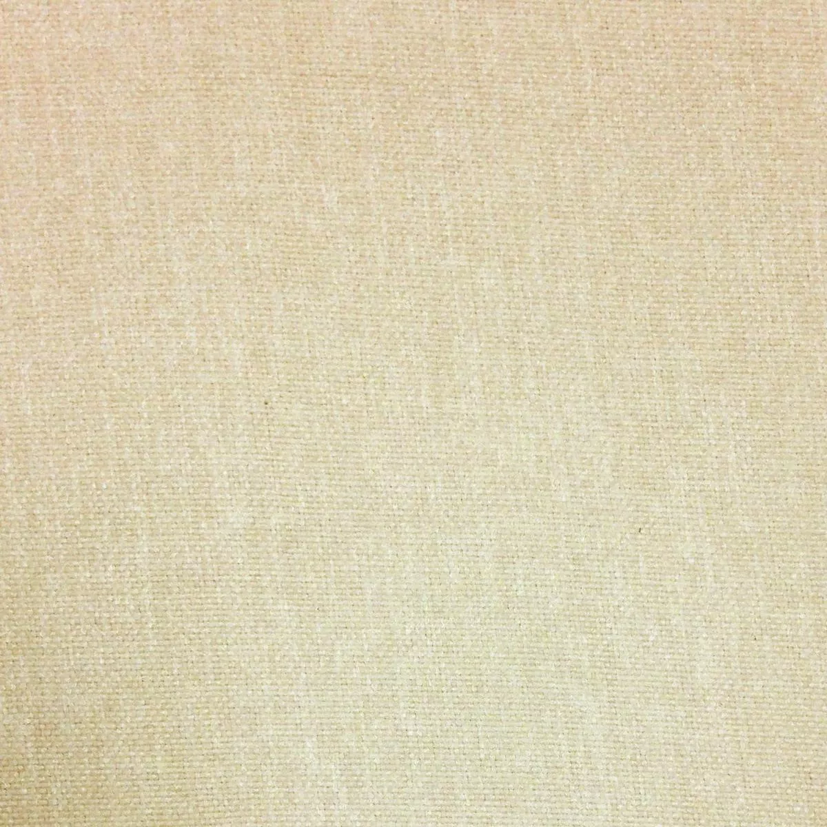Studio Powder Europatex Fabric