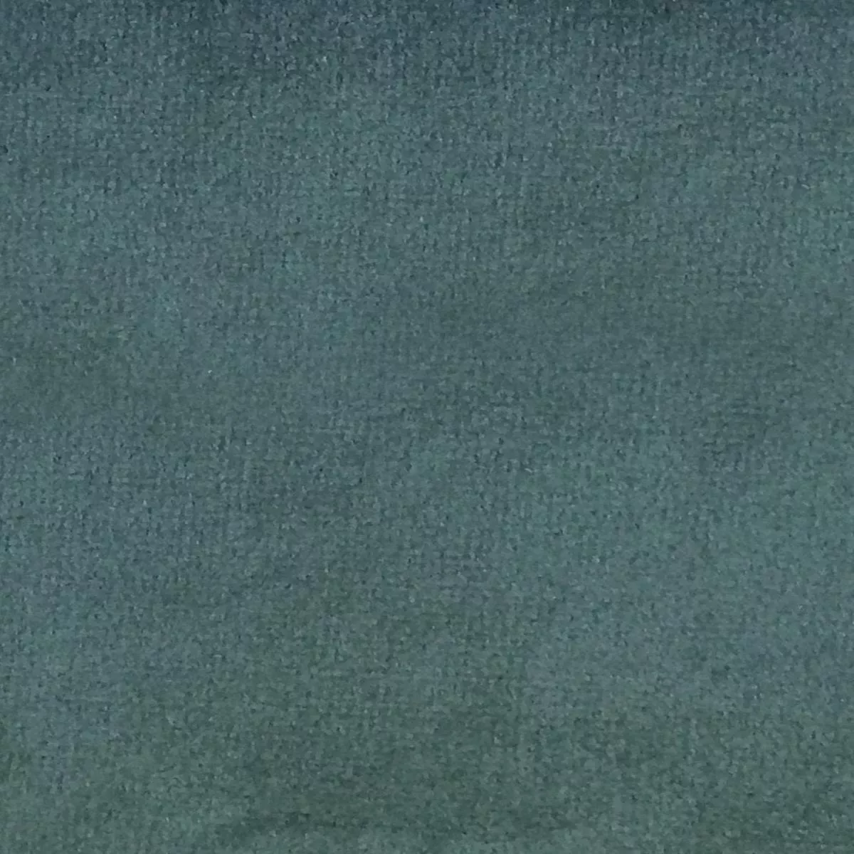 Sucesso | Wide Width Velvet – Black Forest by Scalamandre Fabric