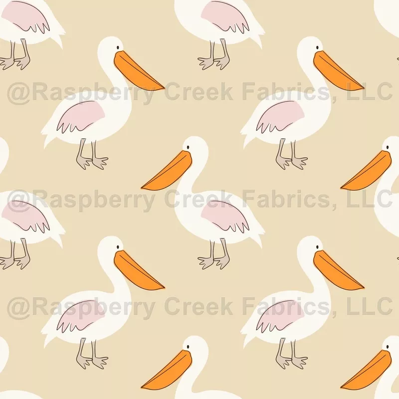 Summer Pelicans