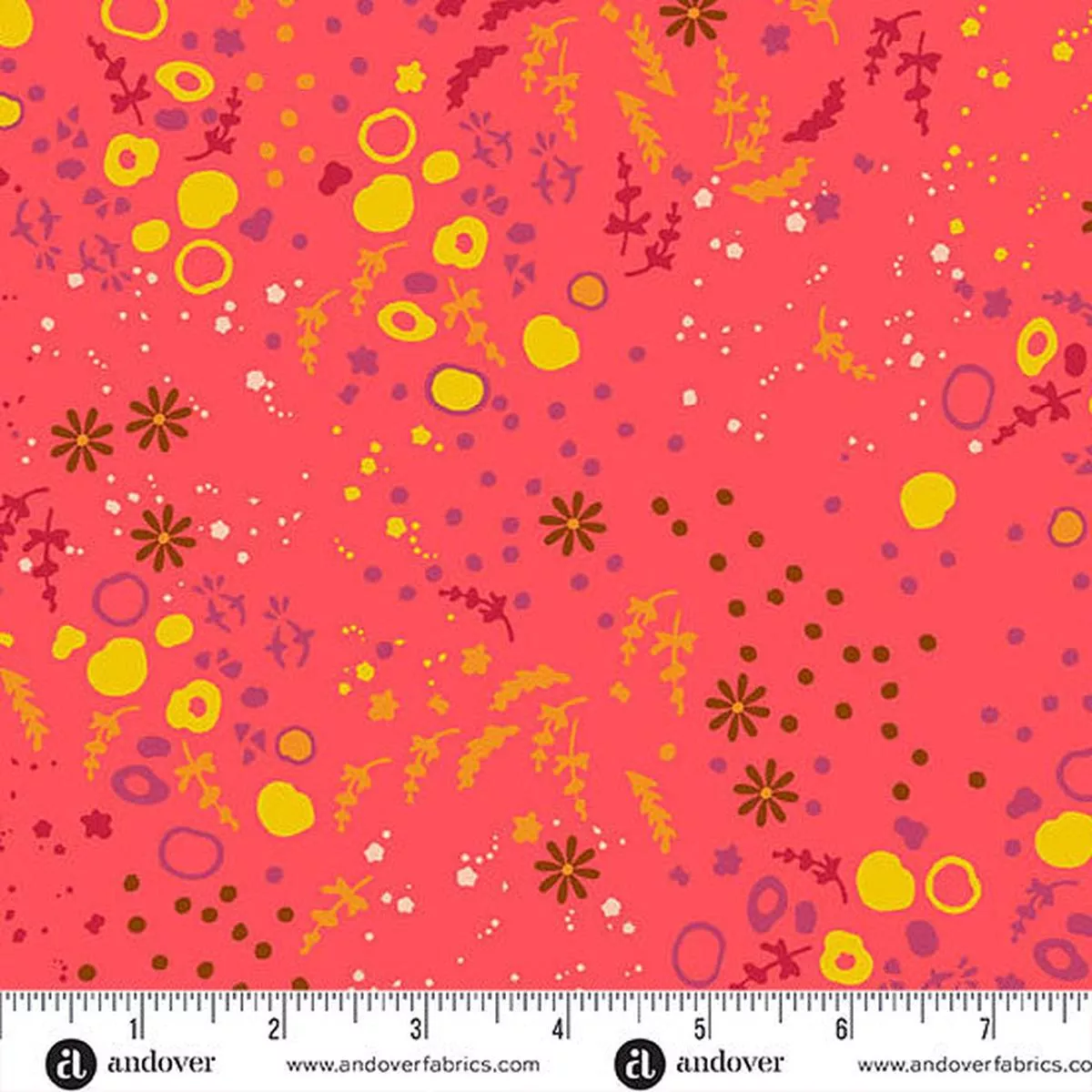 Sun Print 2026 – Equanimity – Strawberry
