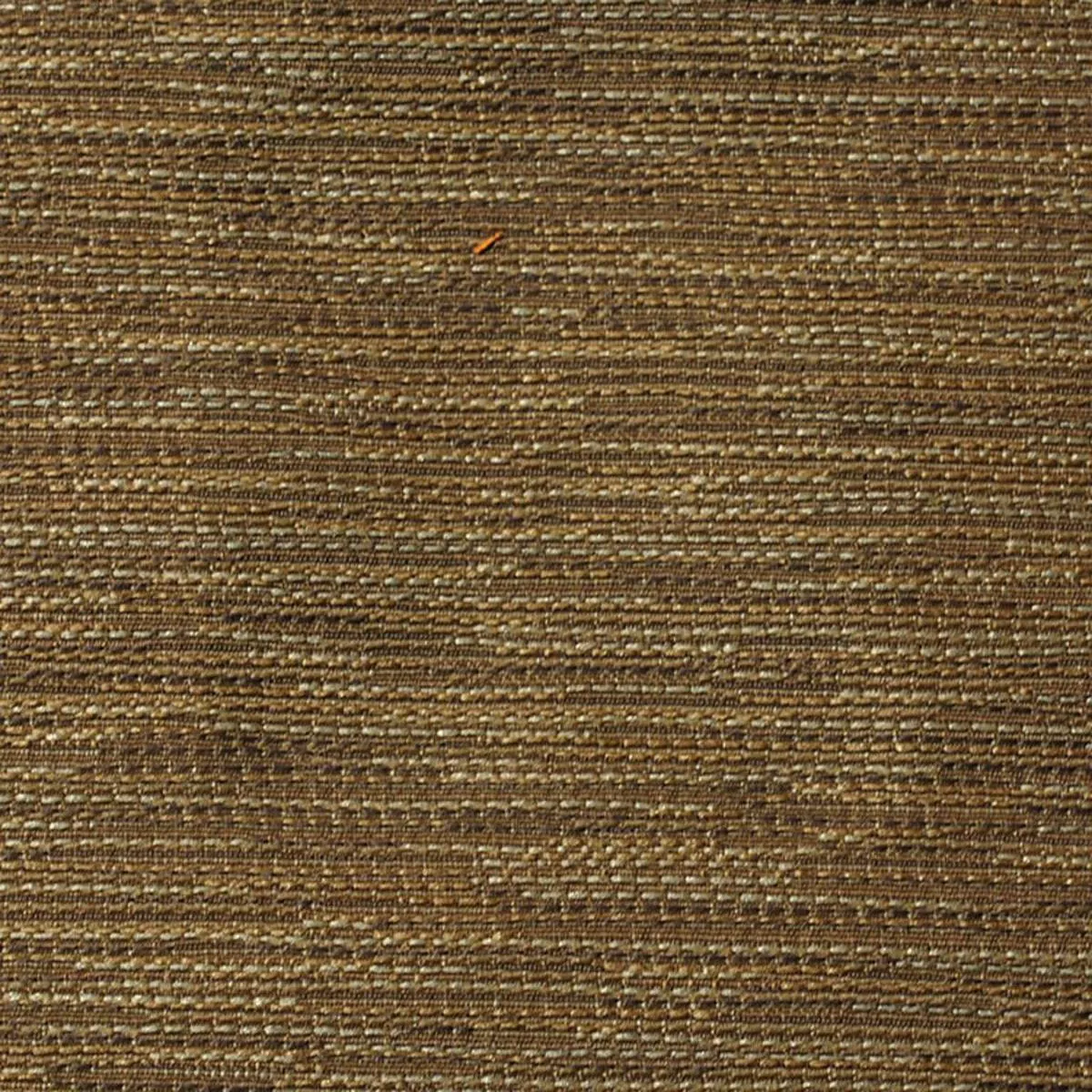 SURAT PORCINI RM Coco Fabric