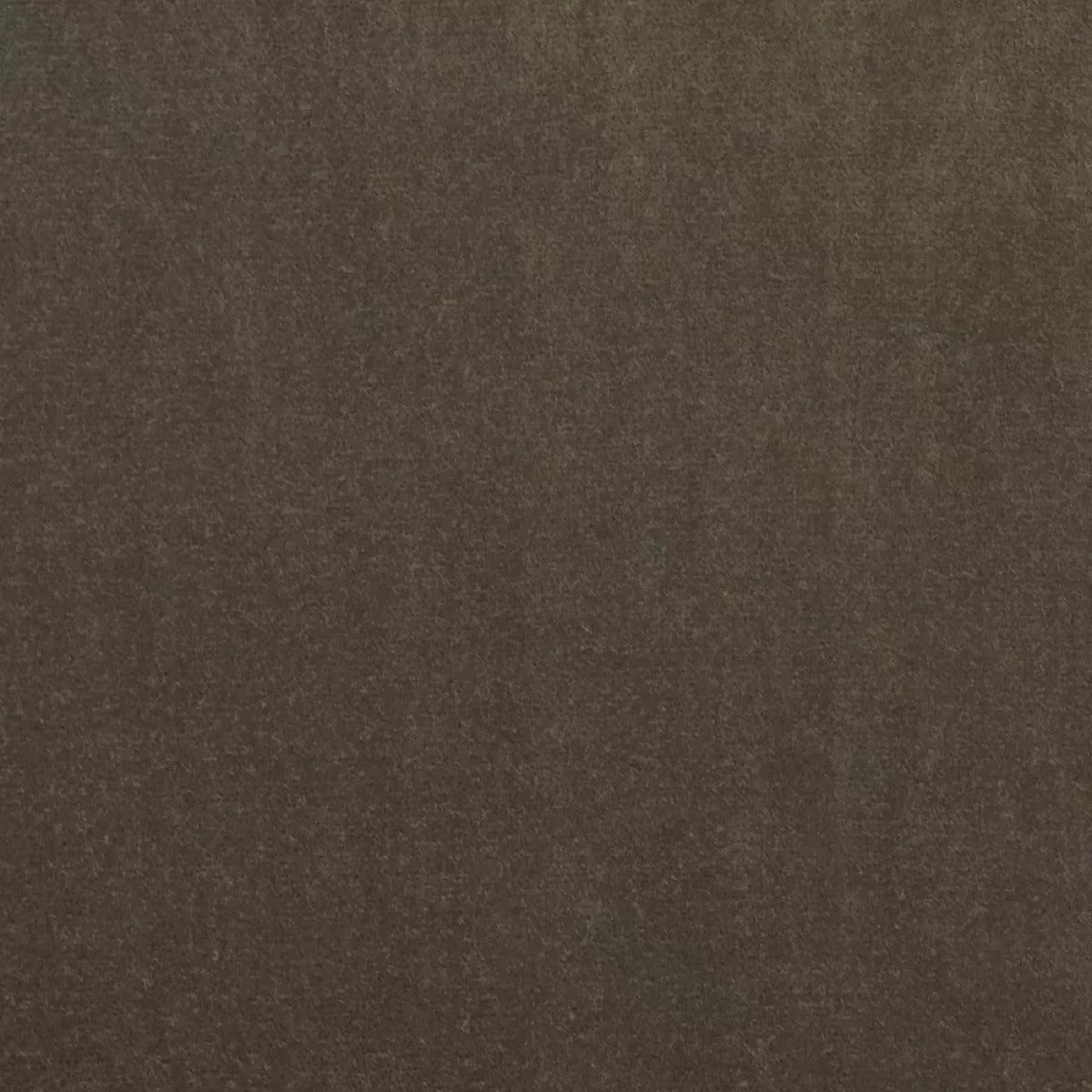 Taboo Tobacco P Kaufmann Fabric