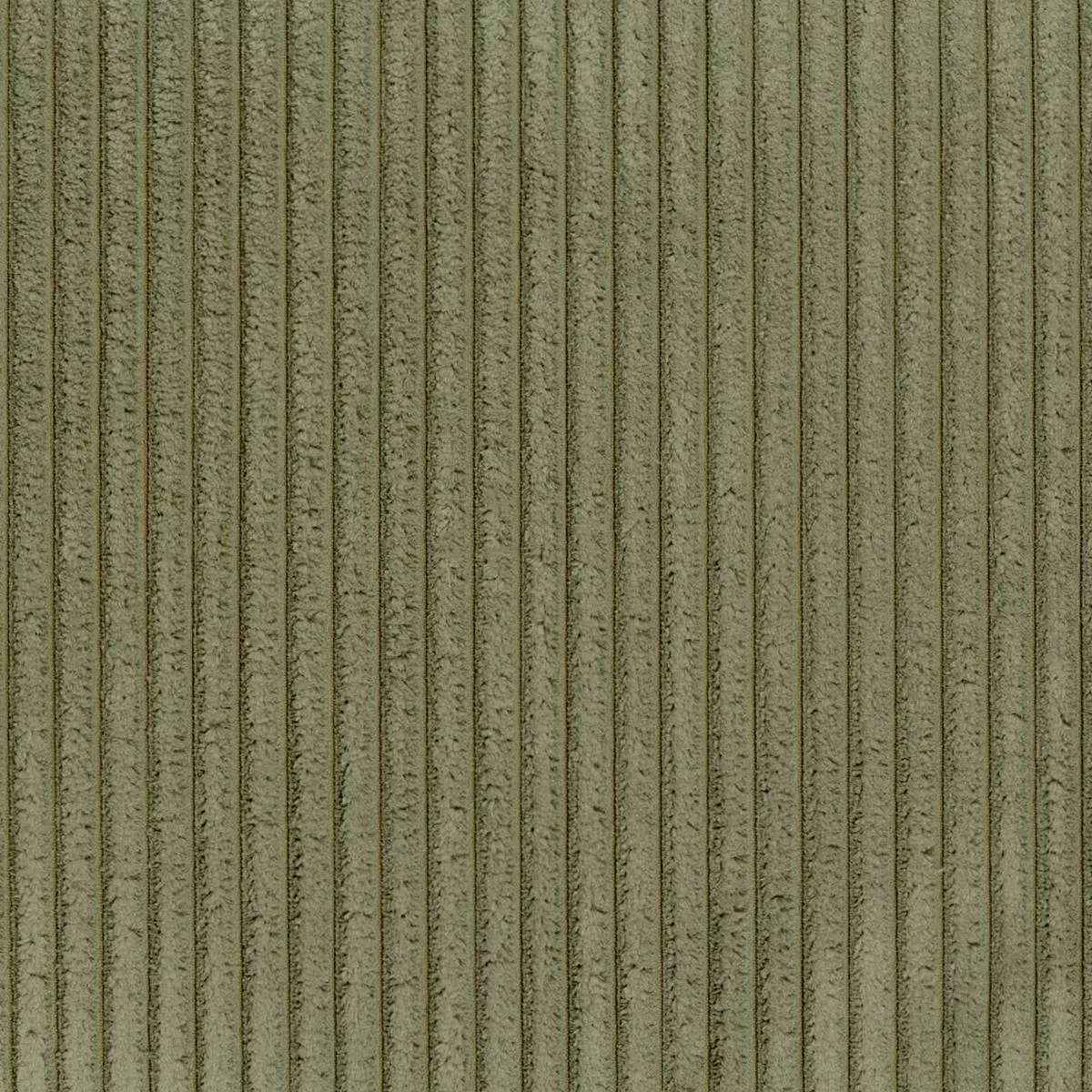taxi-fern-regal-fabric Taxi Fern Regal Fabric