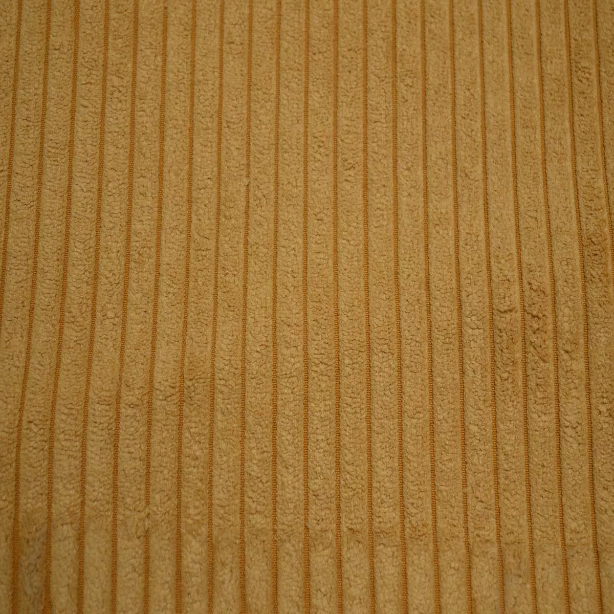 taxi-gold-regal-fabric Taxi Gold Regal Fabric